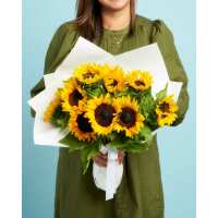 Read LVLY Reviews